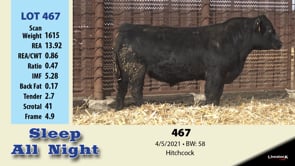 Lot #467 - LOT 467