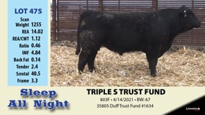 Lot #475 - TRIPLE S TRUST FUND 475