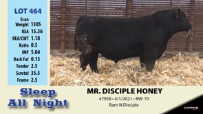 Lot #464 - MR DISCIPLE HONEY