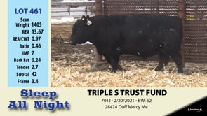 Lot #461 - TRIPLE S TRUST FUND 461