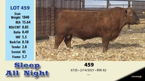 Lot #459 - LOT 459