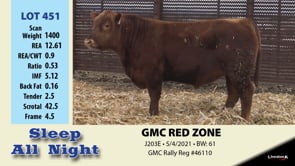 Lot #451 - GMC RED ZONE