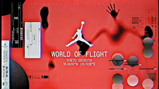 world of flight tokyo デュブレ&シューレース セット（DEEP TOKYO 