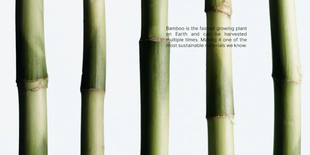 Bulk Buy Bamboo Toilet Paper: 48 Pack + 6 Free Kitchen Rolls
