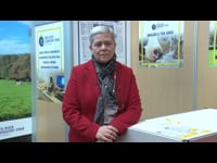 Entrevista a María Hermida