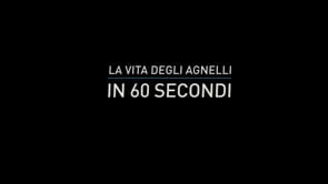 La Vita Degli Agnelli In 60 Secondi – Animal Equality