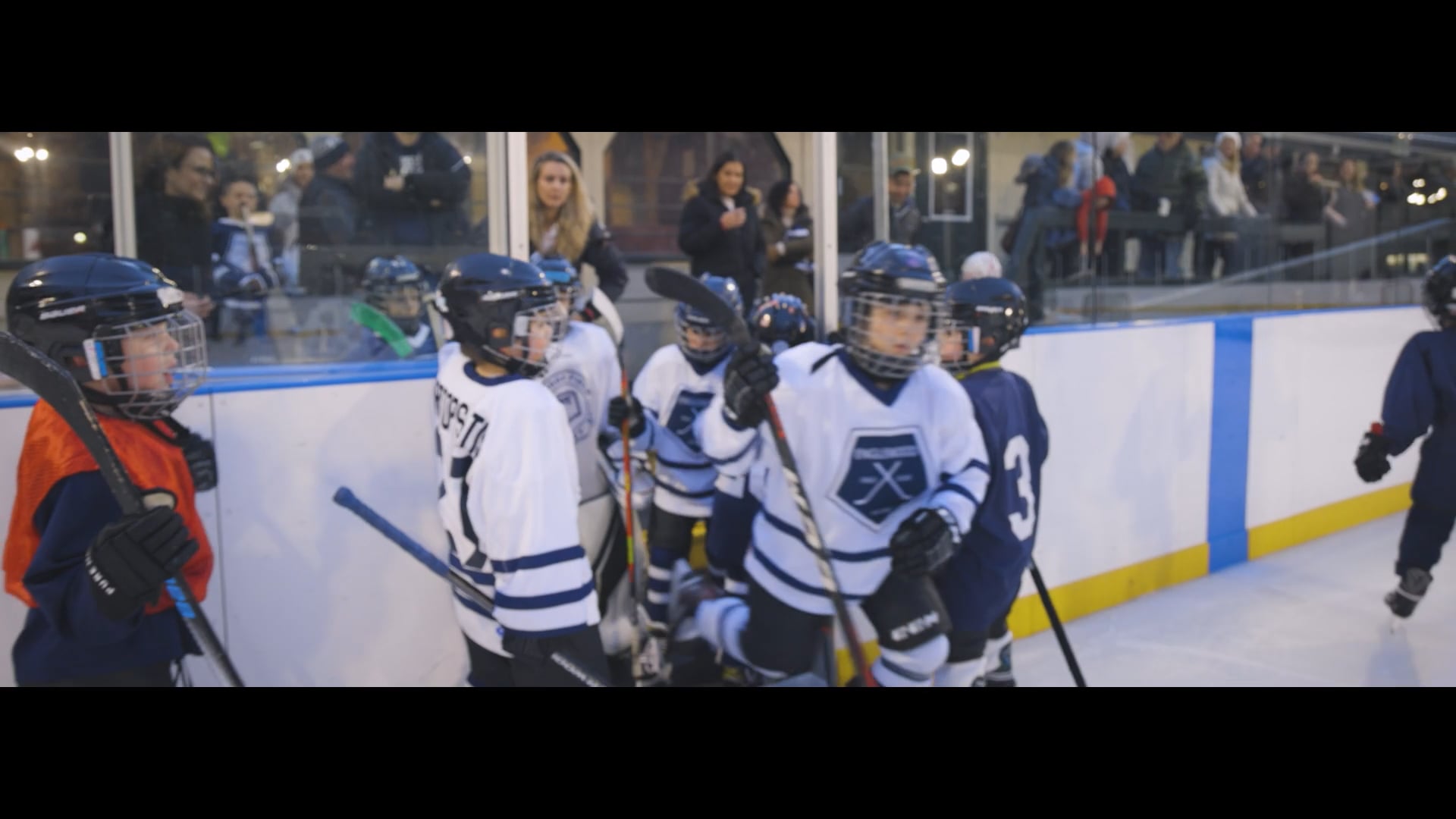 Englewood Field Club Winter Classic on Vimeo