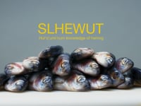 SLHEWUT (HERRING) - Hul'q'umi'num Knowledge of Herring