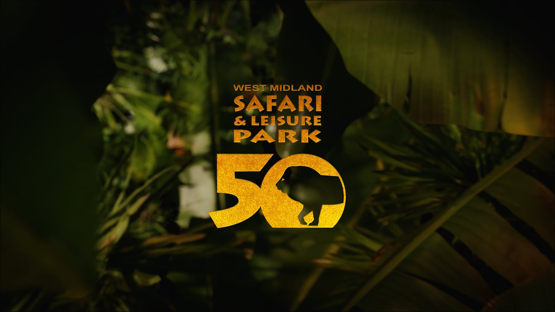 West Midland Safari Park | Wild Times at Every Turn