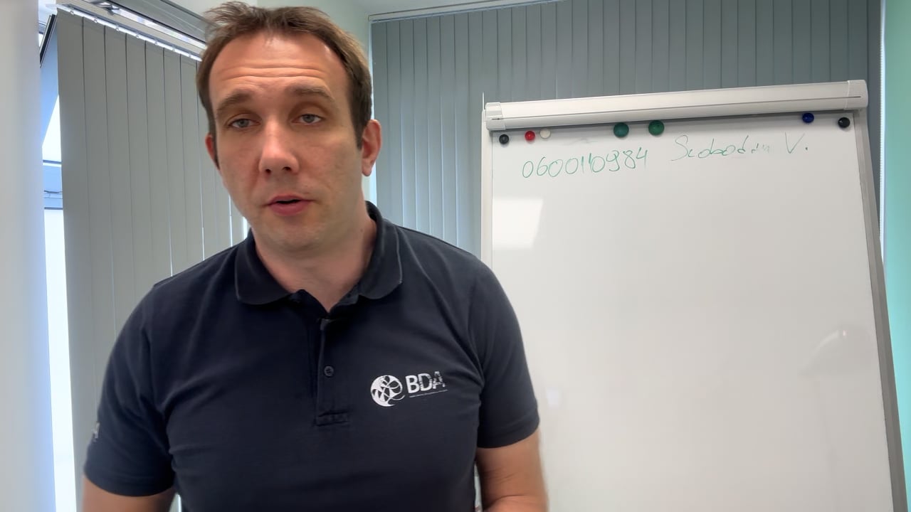 Как БДА влияет на Даун синдром и аутизм on Vimeo