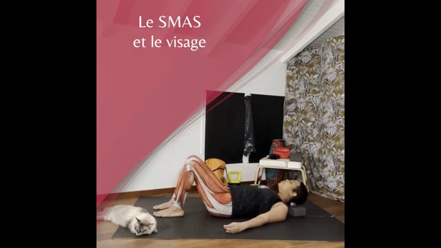 Yoga du visage + - Le SMAS et le Visage