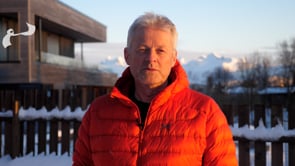 Steinar