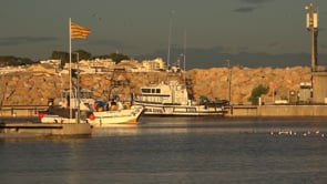 El nou disseny territorial dels GALP pren forma