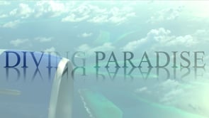 Diving Paradies Maldives - HD