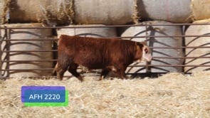 Lot #A2220 - AFH H033 1836 HUNTER 2220