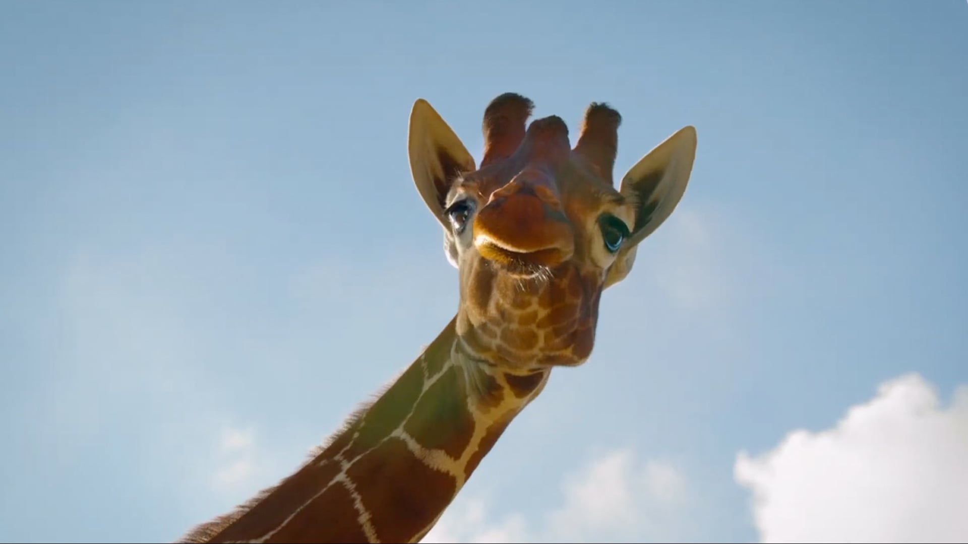 Big Beasts – Trailer “Experience”