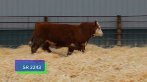Lot #S2243 - SR HARVEST 2243