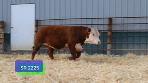Lot #S2225 - SR HARVEST 2225