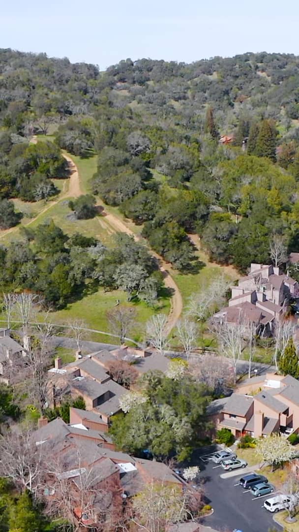 9 Cinnamon Teal Lane, Novato Teaser Presented by Aviva Kamler on Vimeo