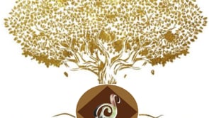 Bonus Video: Last Minute Extras