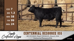 Lot #855 - CENTENNIAL RESOURCE 855