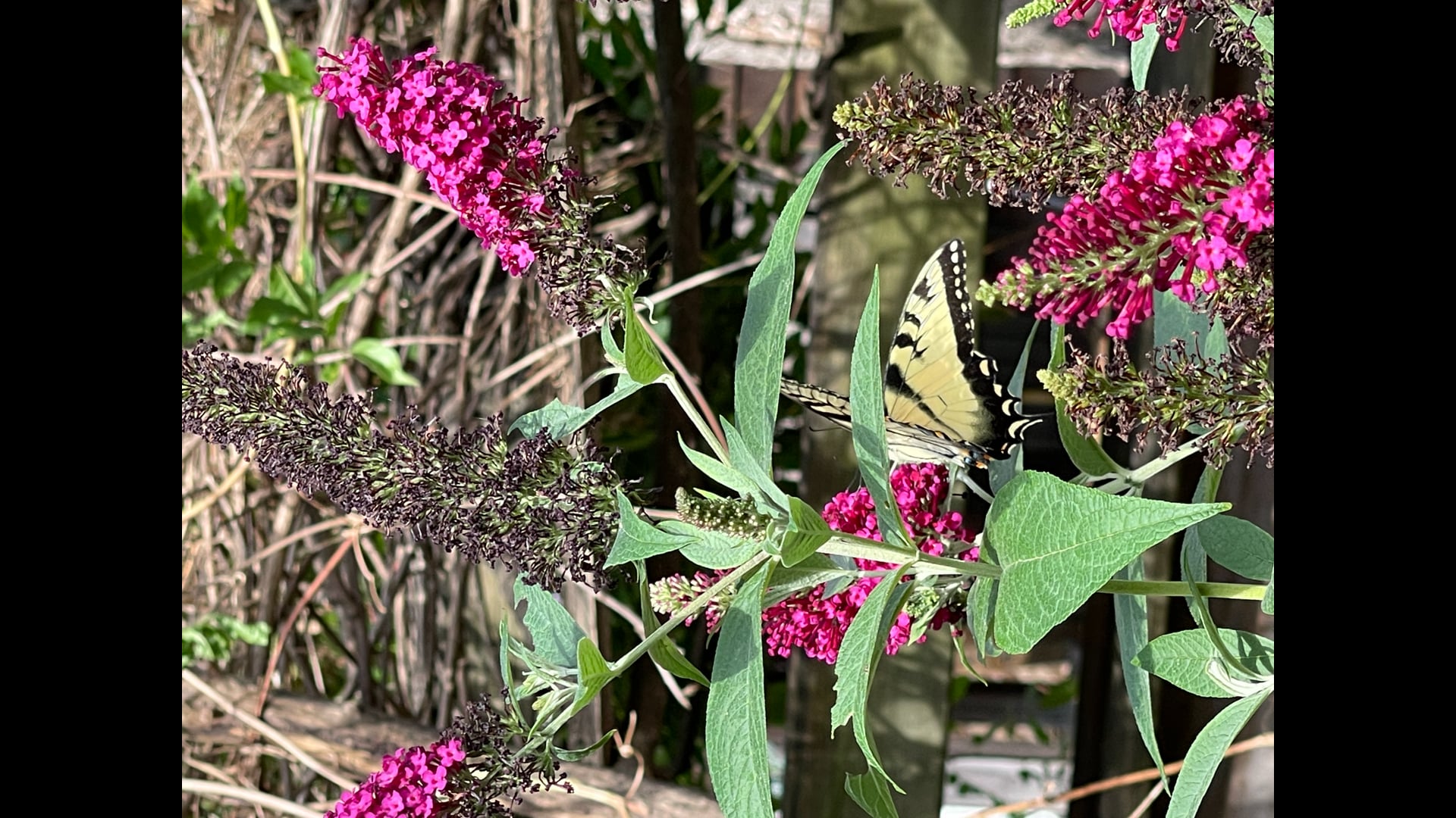 2023 March 20: Renouncing Worry