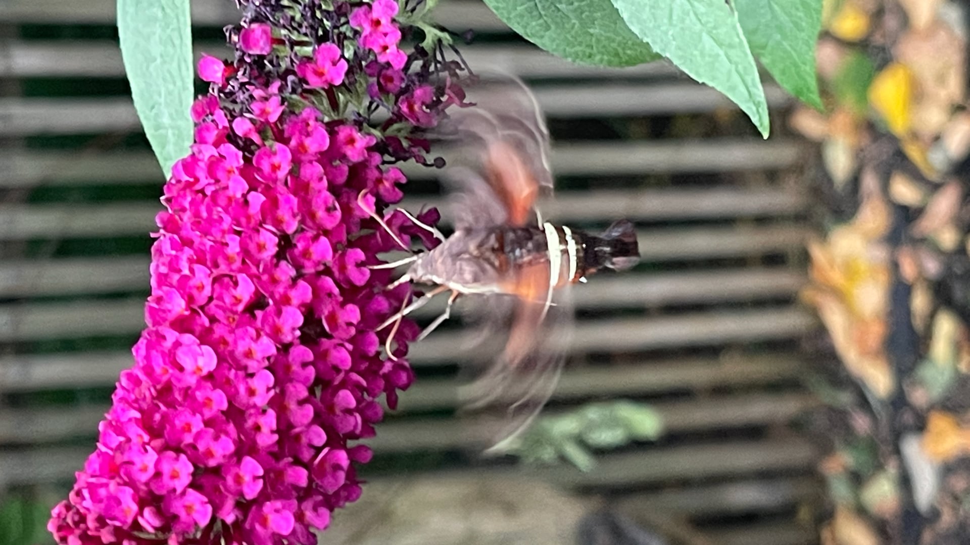 2023 March 22: Renouncing Negative Self-Talk