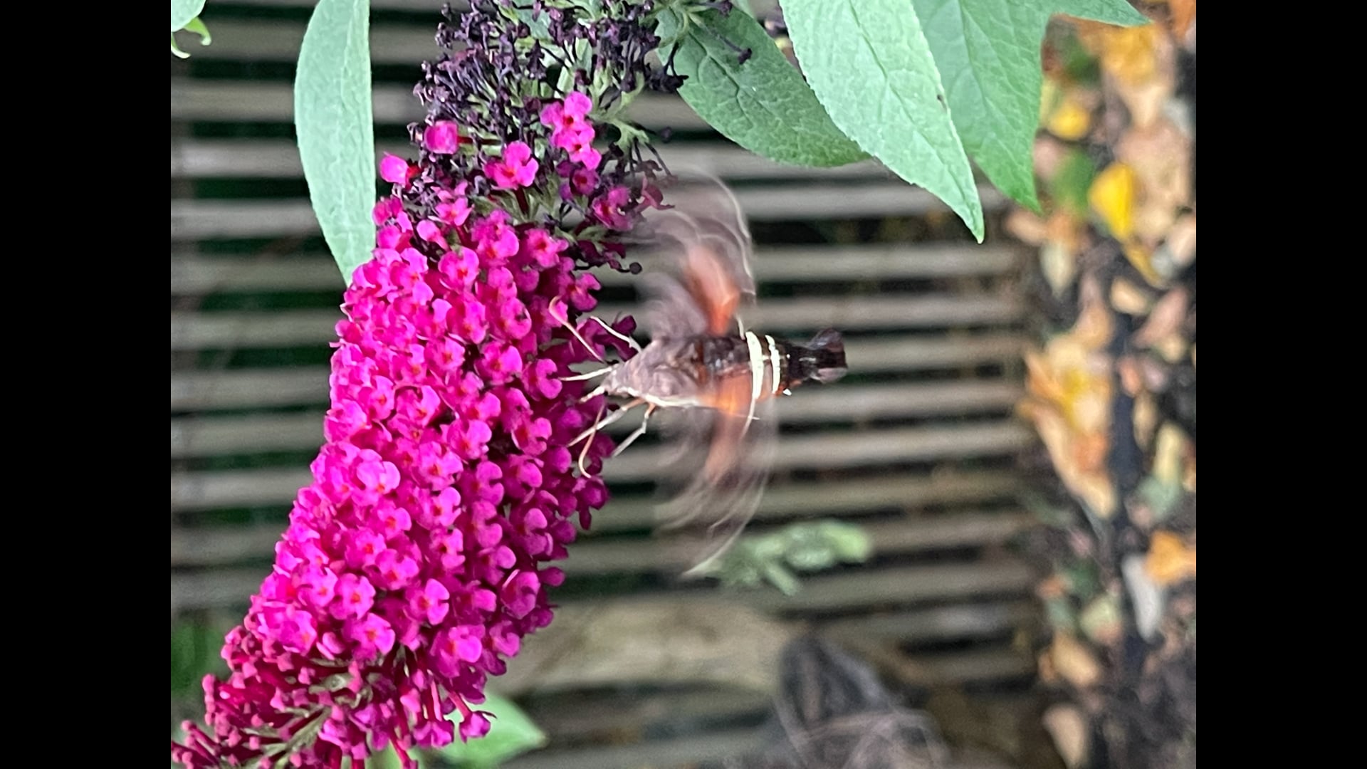 2023 March 22: Renouncing Negative Self-Talk