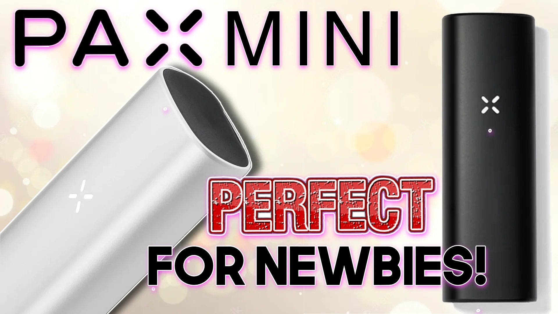 PAX Mini Review  A Perfect Dry Herb Vaporizer For Beginners