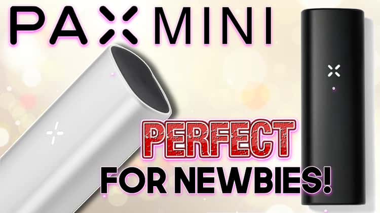 PAX Mini Review, A Perfect Dry Herb Vaporizer For Beginners