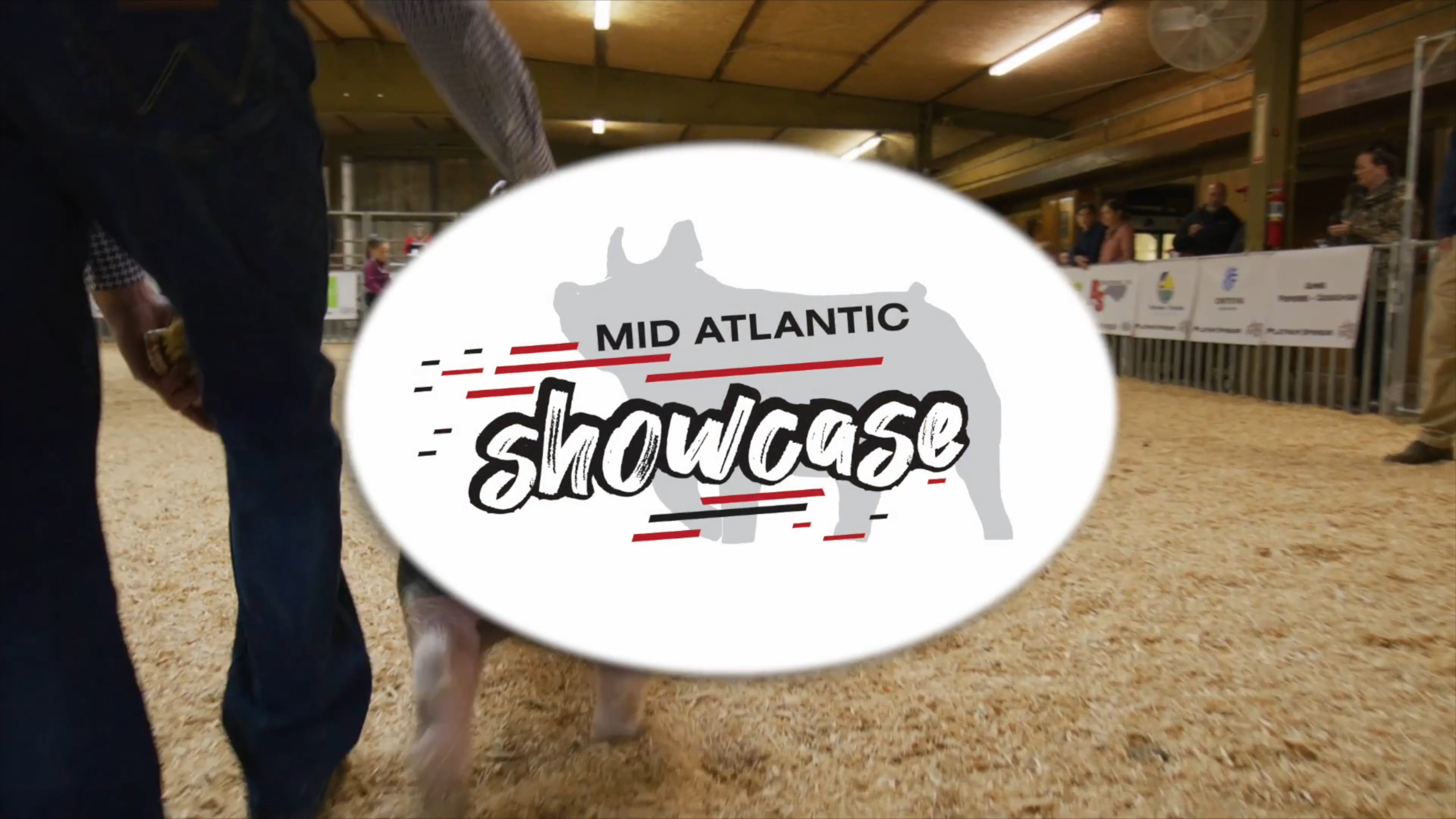 Mid Atlantic Showcase March End of Year on Vimeo