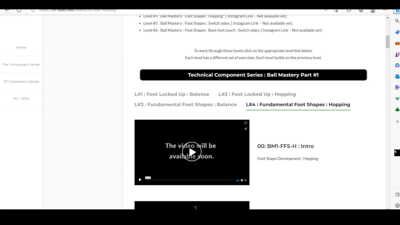 00 : BM-FFS-H : Intro : tft-tube on Vimeo