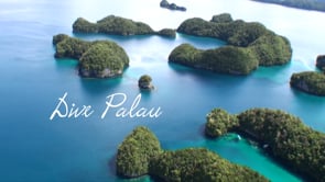 Dive Palau - HD