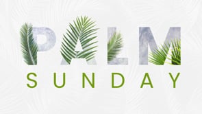 Palm Sunday | John 12:12-19