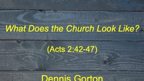 4-2-23 What Does the Church Look Like?