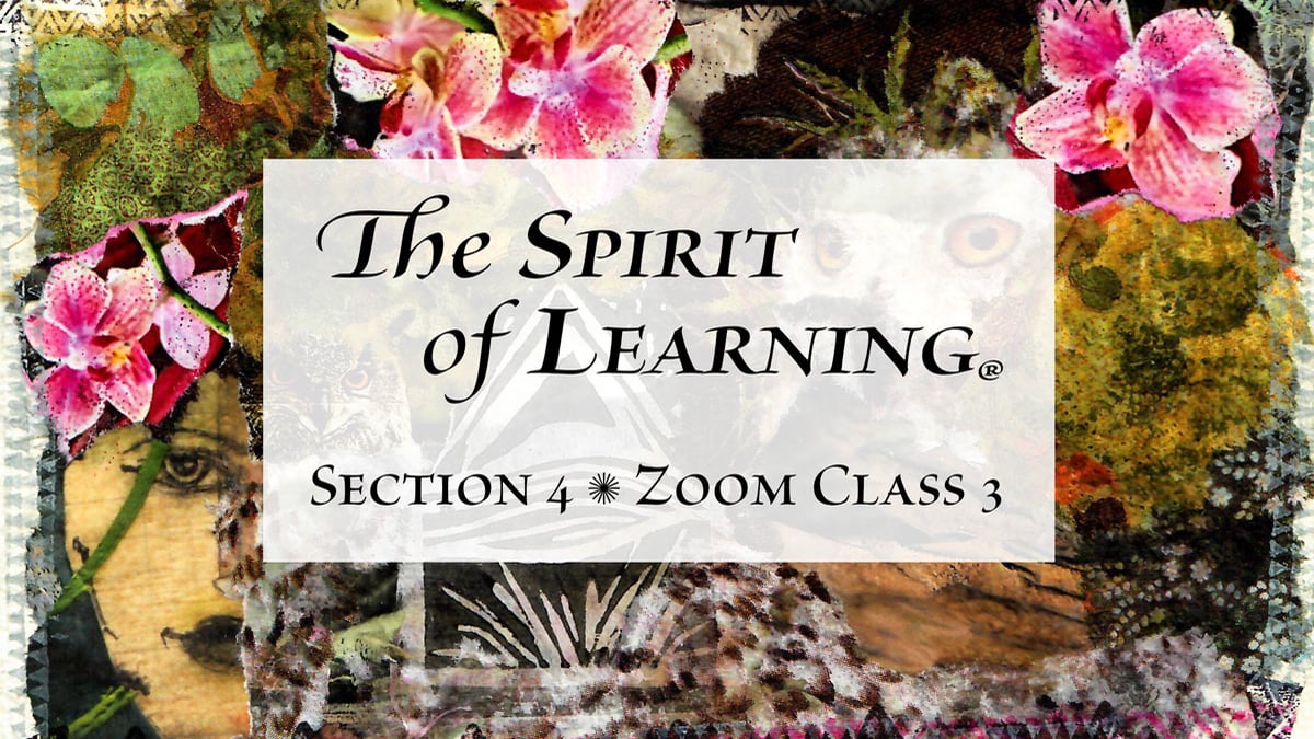 Section 4 – Zoom Class 3 (2023) on Vimeo