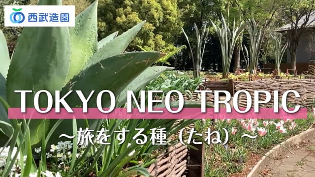 東京パークガーデンアワード入賞作品「TOKYO NEO TROPIC（トウキョウ ネオ トロピック）」が春の見頃を迎えます|西武造園グループの動画紹介ページ