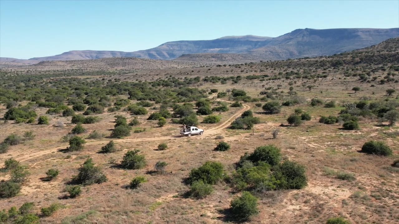 About Royal Karoo Safaris