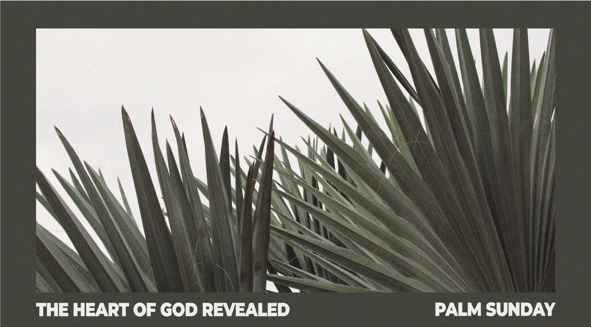 The Heart of God Revealed | April 2, 2023