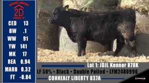 Lot #1 - JDJL KONNOR 878K
