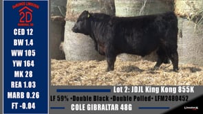 Lot #2 - JDJL KING KONG 855K