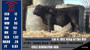 Lot #4 - JDJL KING OF THE HILL