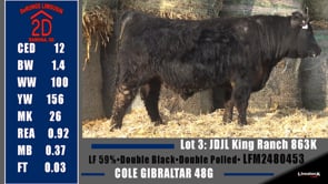 Lot #3 - JDJL KING RANCH 863K