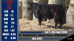Lot #7 - JDJL KURT 874K