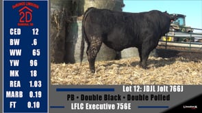 Lot #12 - JDJL JOLT 766J