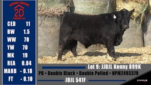 Lot #9 - JDJL KENNY 899K