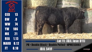 Lot #11 - JDJL JOSE 811J