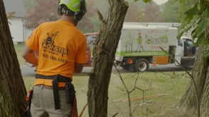 Monster Tree Service - Recruitment Video