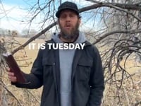 Related Embedded Video Item Thumbnail