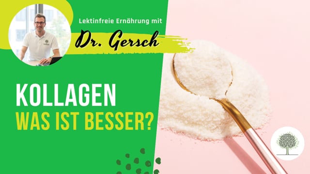 Kollagen: Ist es besser, selbst Knochenbrühe zuzubereiten oder alternativ ein Pulver von weidegefütterten Rindern zu nehmen? 